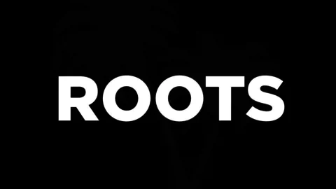 rootsmodas
